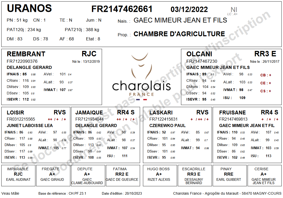 genealogie taureau charolais URANOS