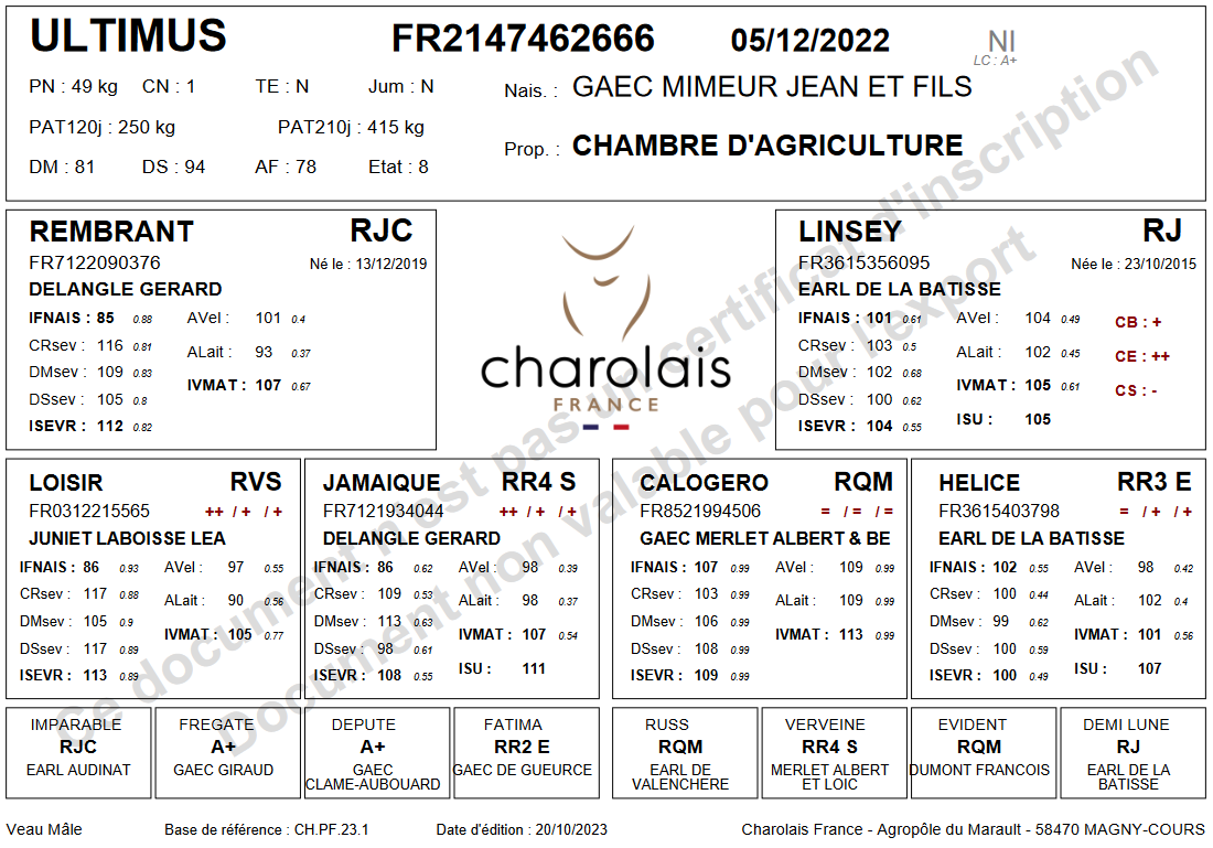 genealogie taureau charolais ULTIMUS