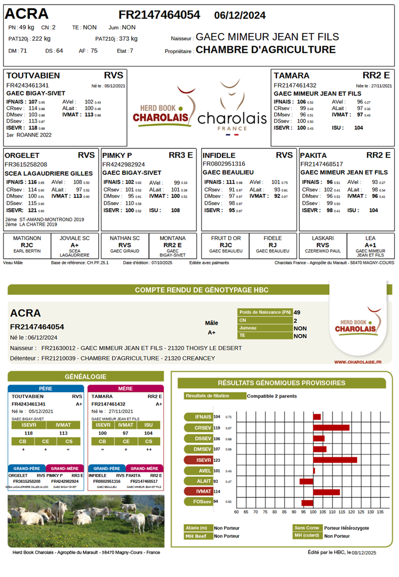 genealogie taureau charolais ACRA