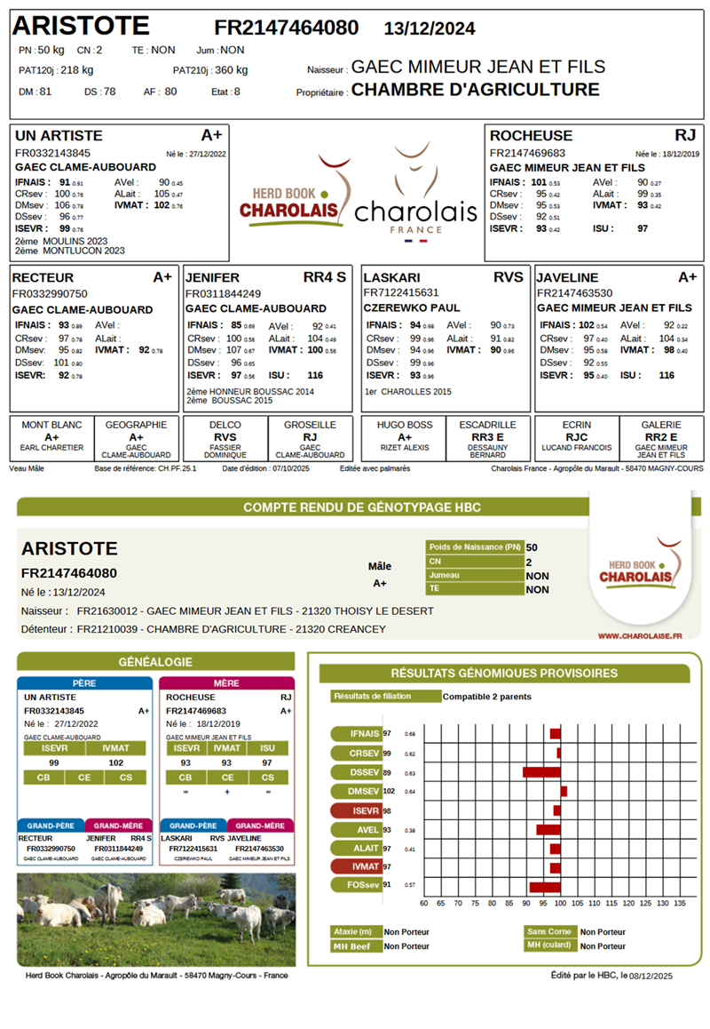 genealogie taureau charolais ARISTOTE