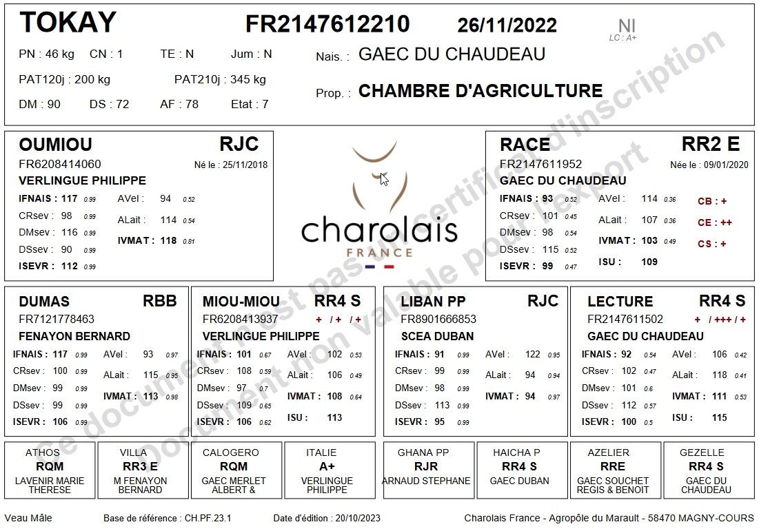 genealogie taureau charolais TOKAY P