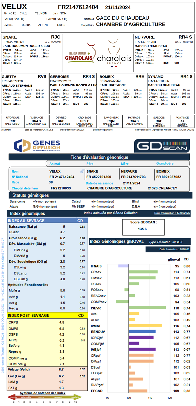 genealogie taureau charolais VELUX