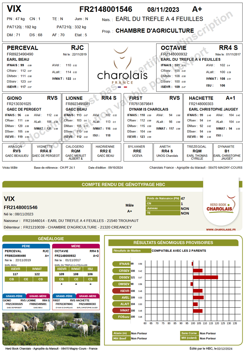 genealogie taureau charolais VIX