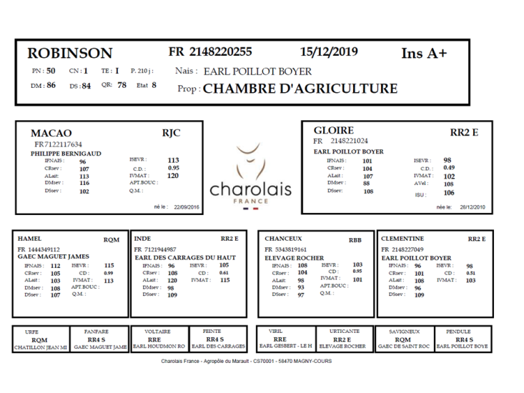 genealogie taureau charolais ROBINSON