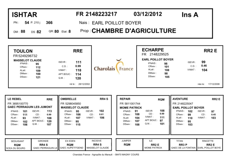 genealogie taureau charolais ISHTAR