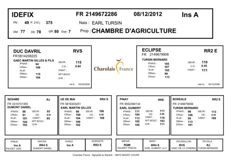 genealogie taureau charolais IDEFIX