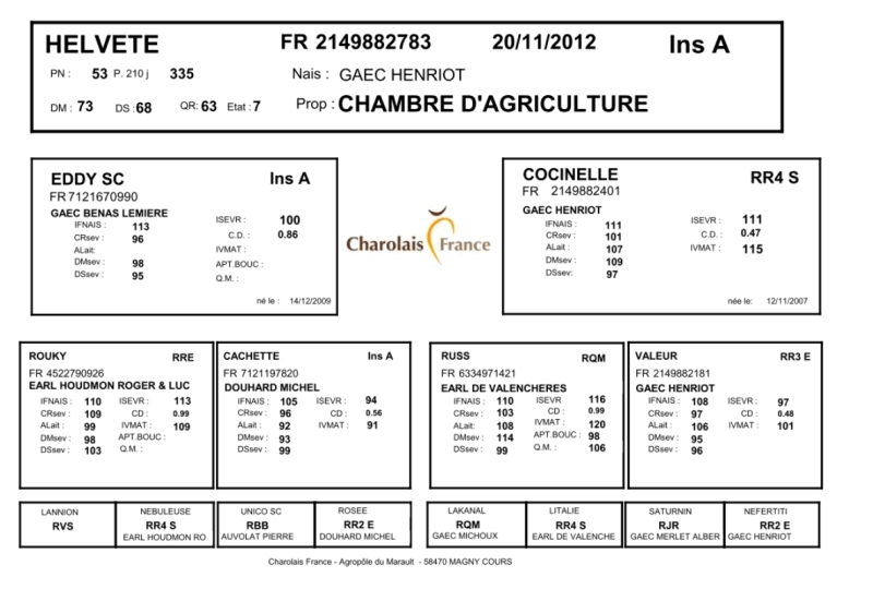 genealogie taureau charolais HELVETE