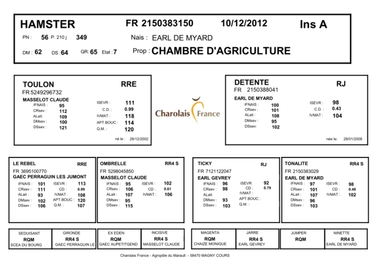 genealogie taureau charolais HAMSTER