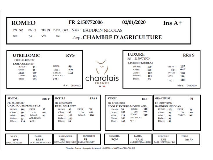 genealogie taureau charolais ROMEO