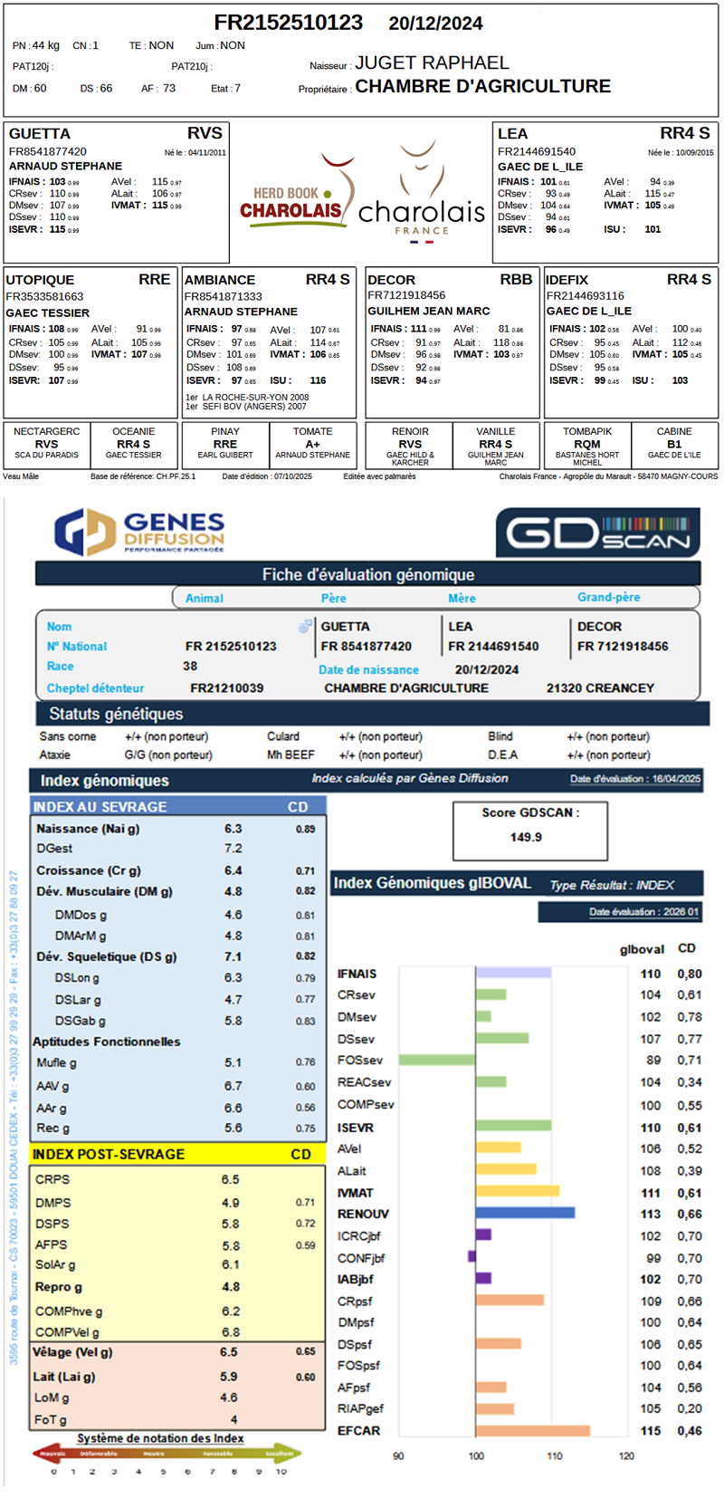 genealogie taureau charolais VAILLANT