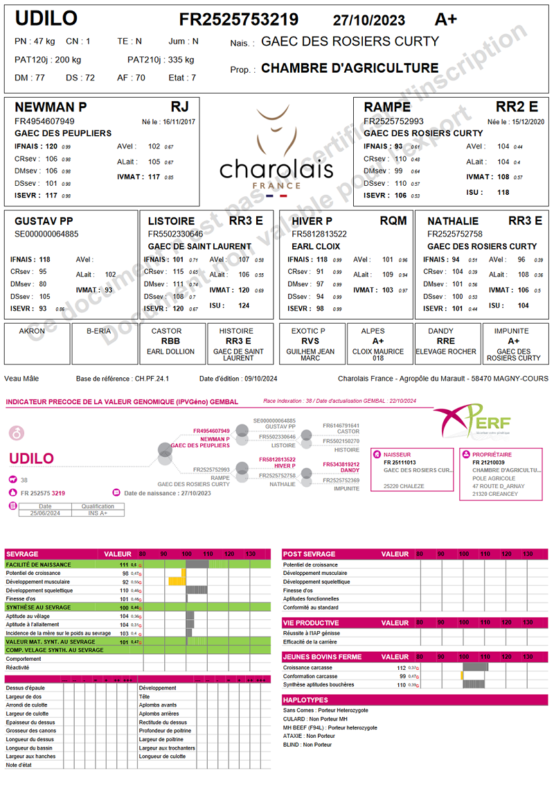 genealogie taureau charolais UDILO