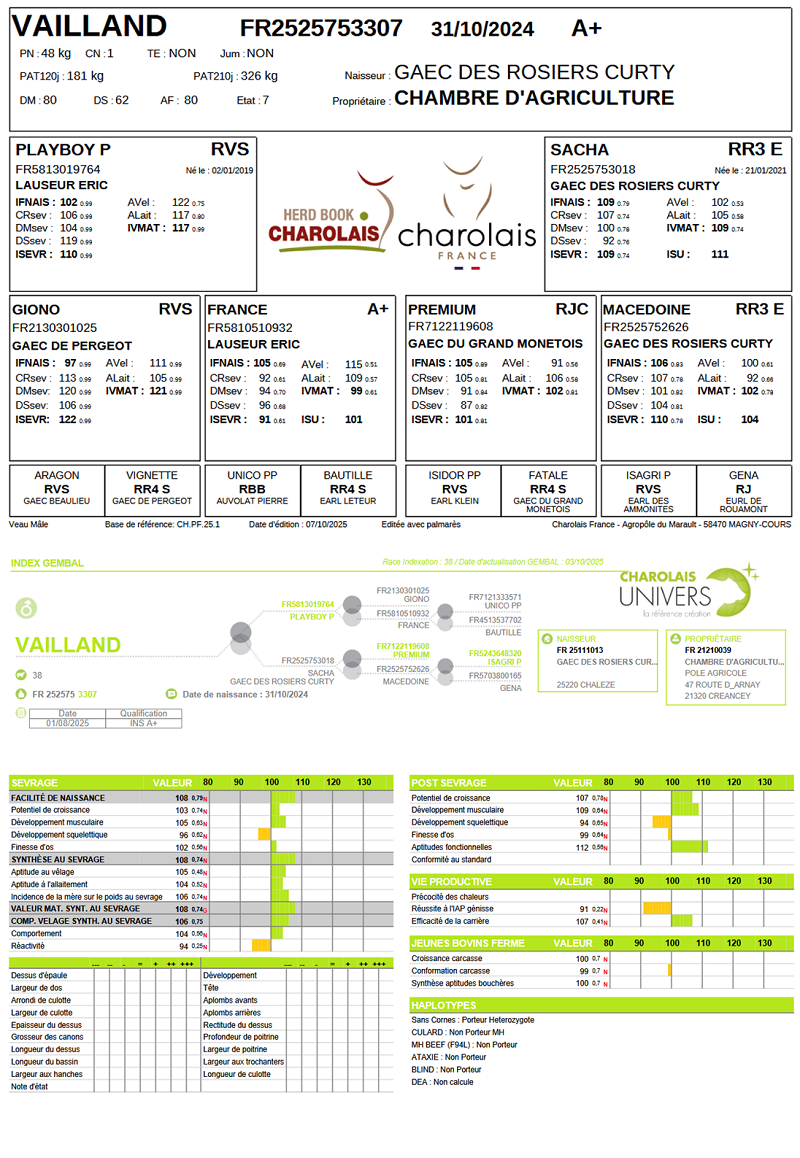 genealogie taureau charolais VAILLAND