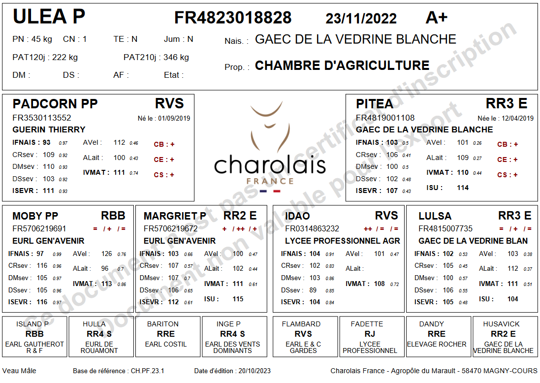 genealogie taureau charolais ULEA P