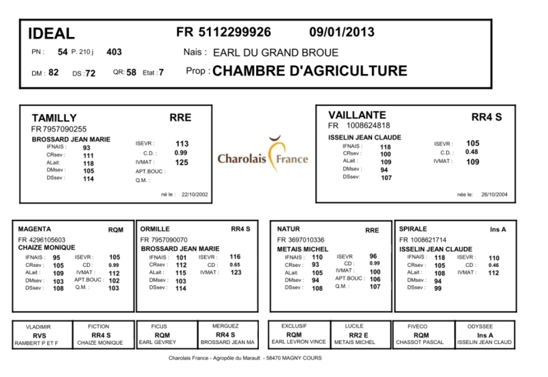 genealogie taureau charolais IDEAL