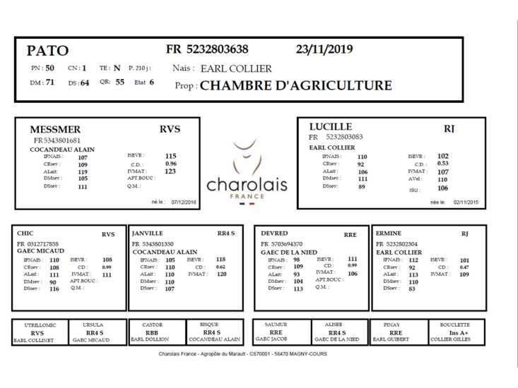 genealogie taureau charolais PATO