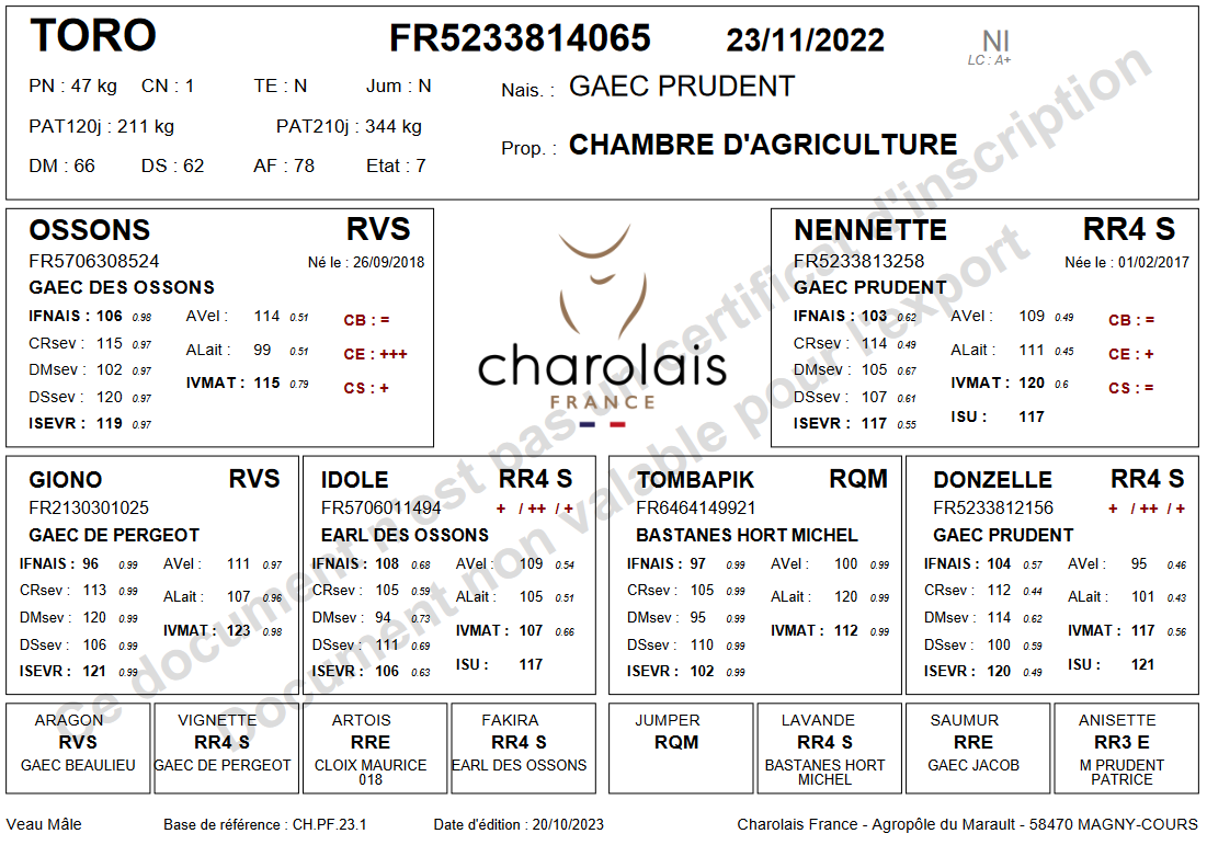 genealogie taureau charolais TORO