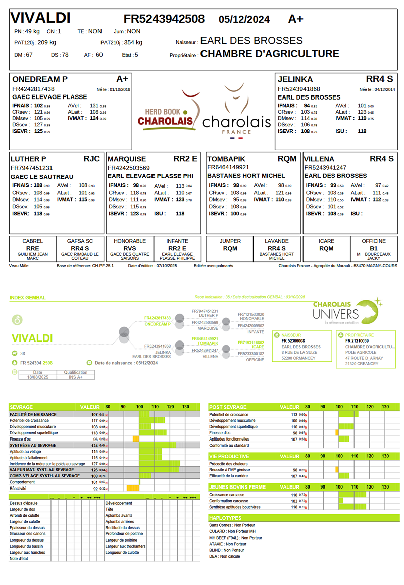 genealogie taureau charolais VIVALDI