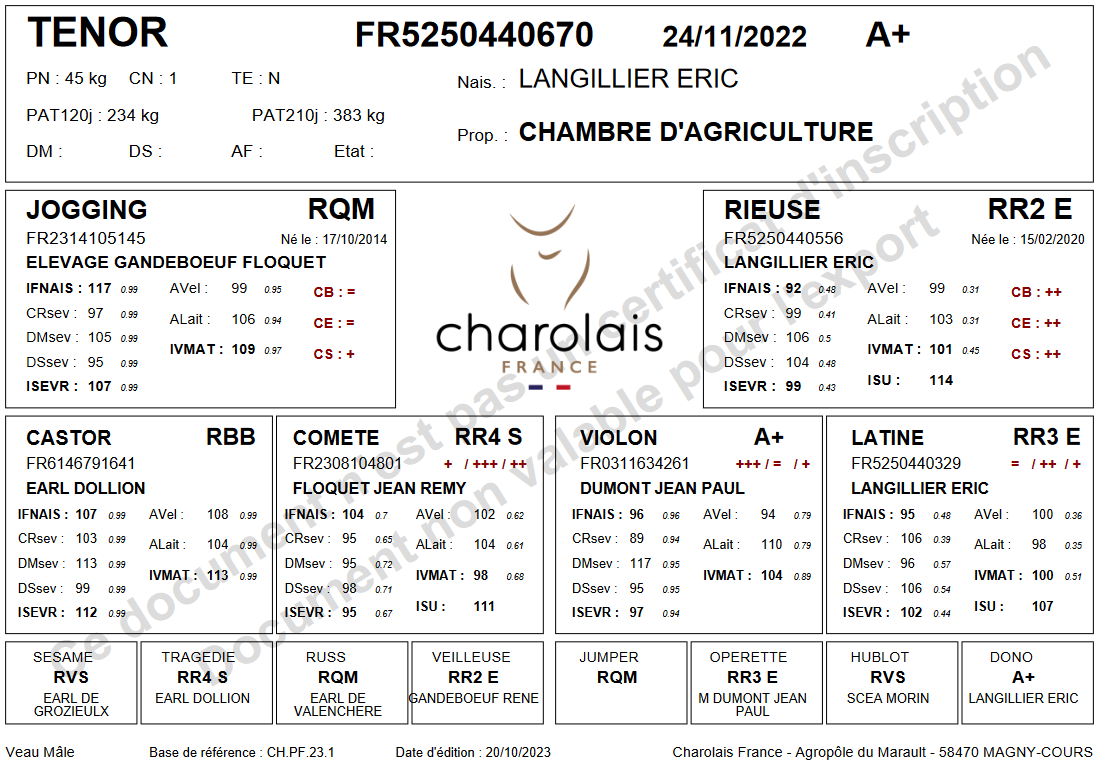 genealogie taureau charolais TENOR
