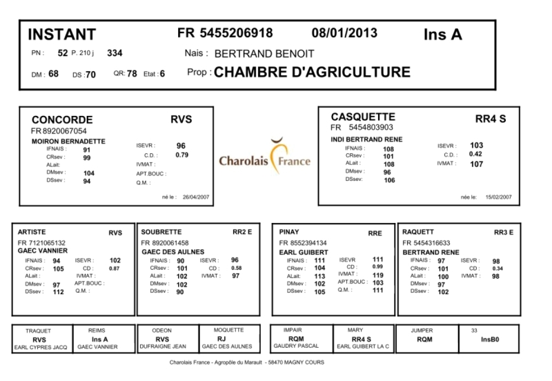 genealogie taureau charolais INSTANT