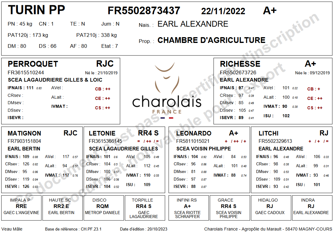 genealogie taureau charolais TURIN PP