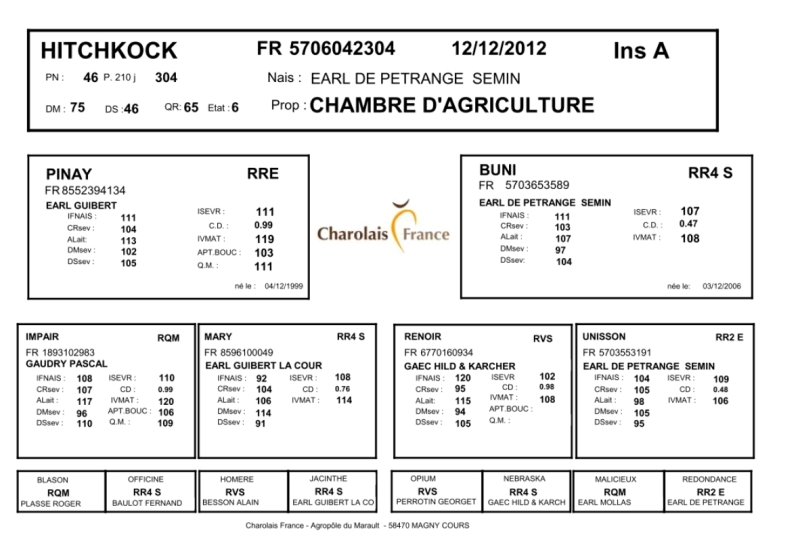 genealogie taureau charolais HITCHKOCK