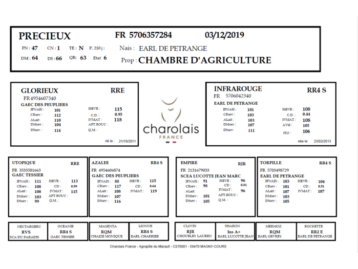 genealogie taureau charolais PRECIEUX