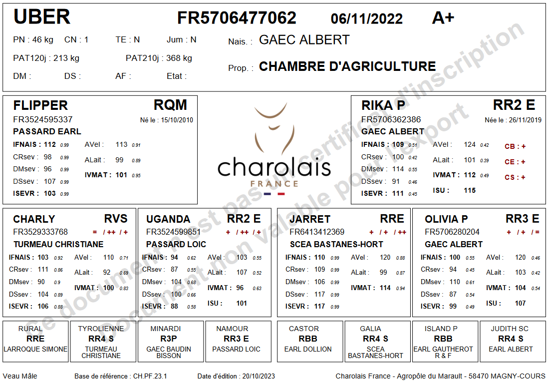genealogie taureau charolais UBER 