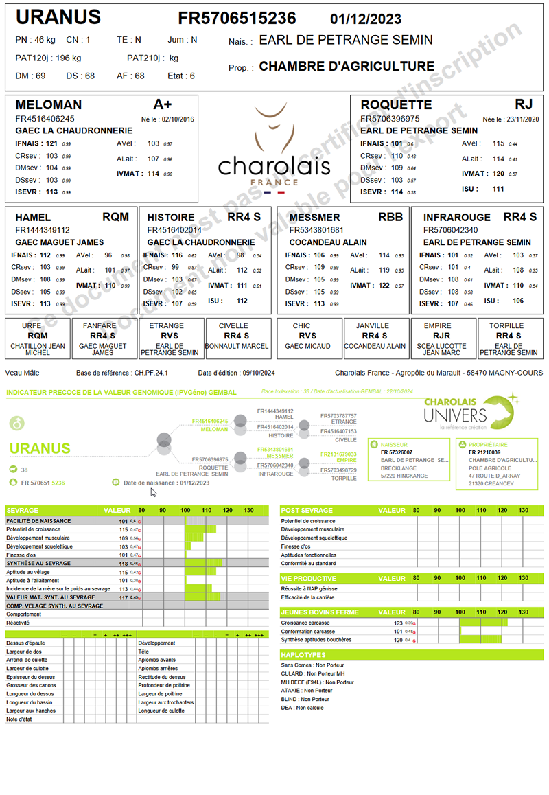 genealogie taureau charolais URANUS