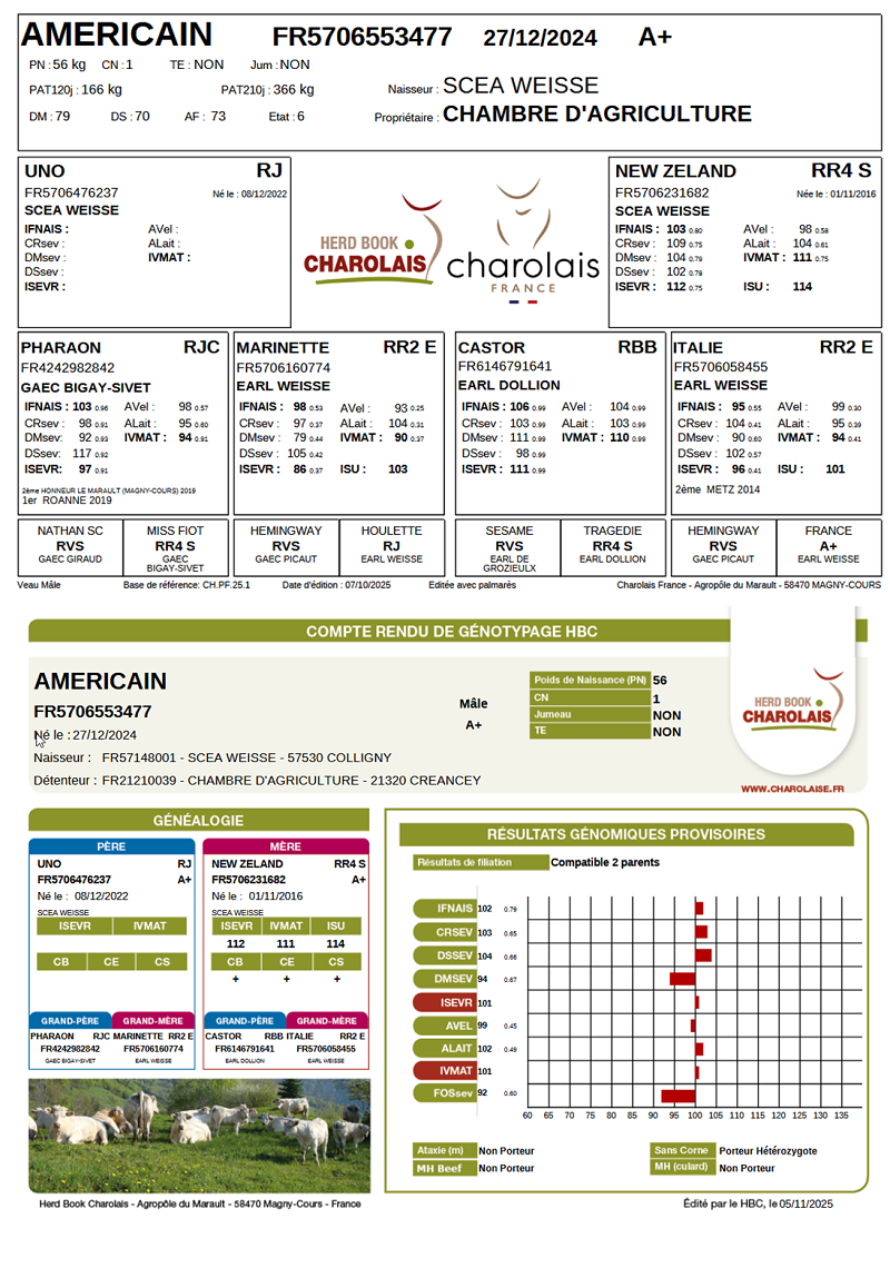 genealogie taureau charolais AMERICAIN