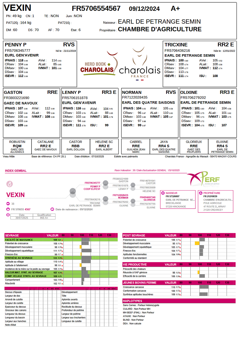 genealogie taureau charolais VEXIN