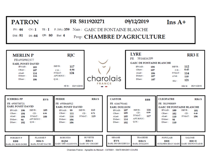 genealogie taureau charolais PATRON P