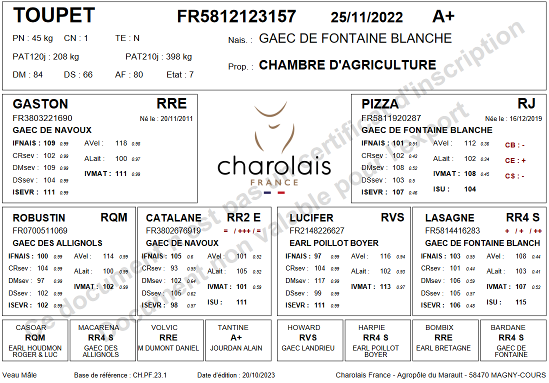 genealogie taureau charolais TOUPET