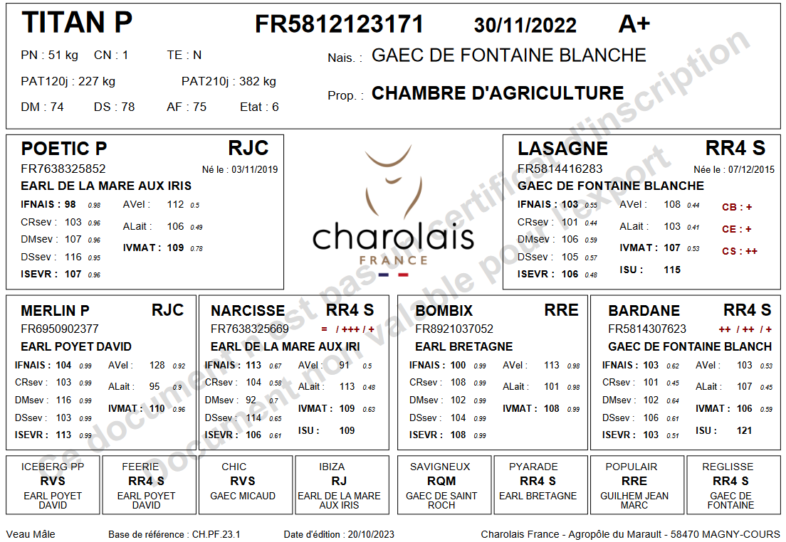 genealogie taureau charolais TITAN P