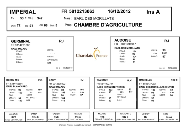 genealogie taureau charolais IMPERIAL