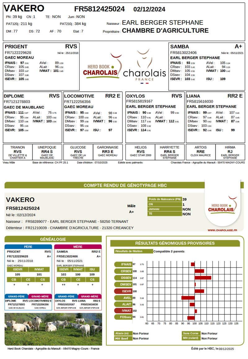 genealogie taureau charolais VAKERO