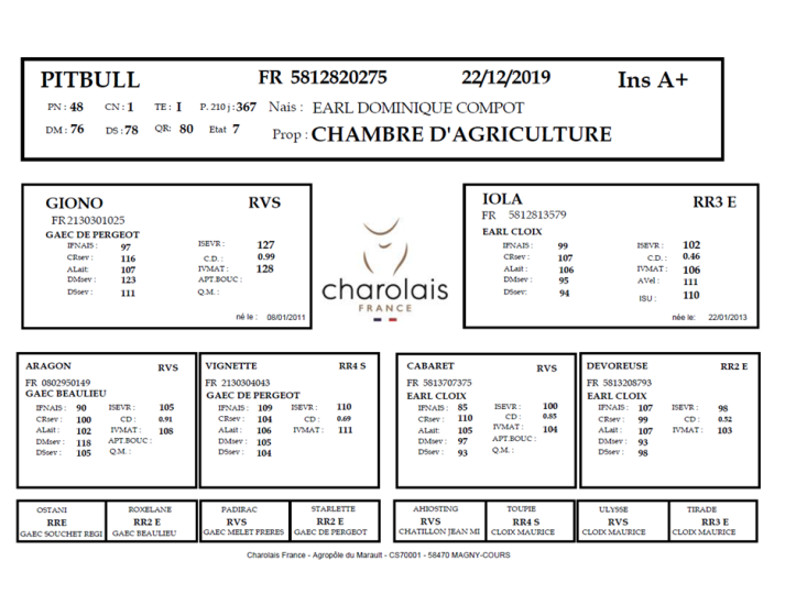 genealogie taureau charolais PITBULL