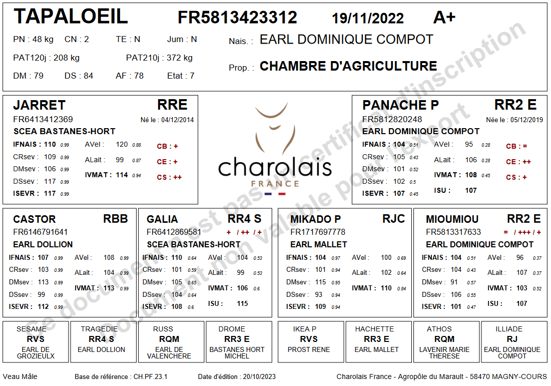 genealogie taureau charolais TAPALOEIL