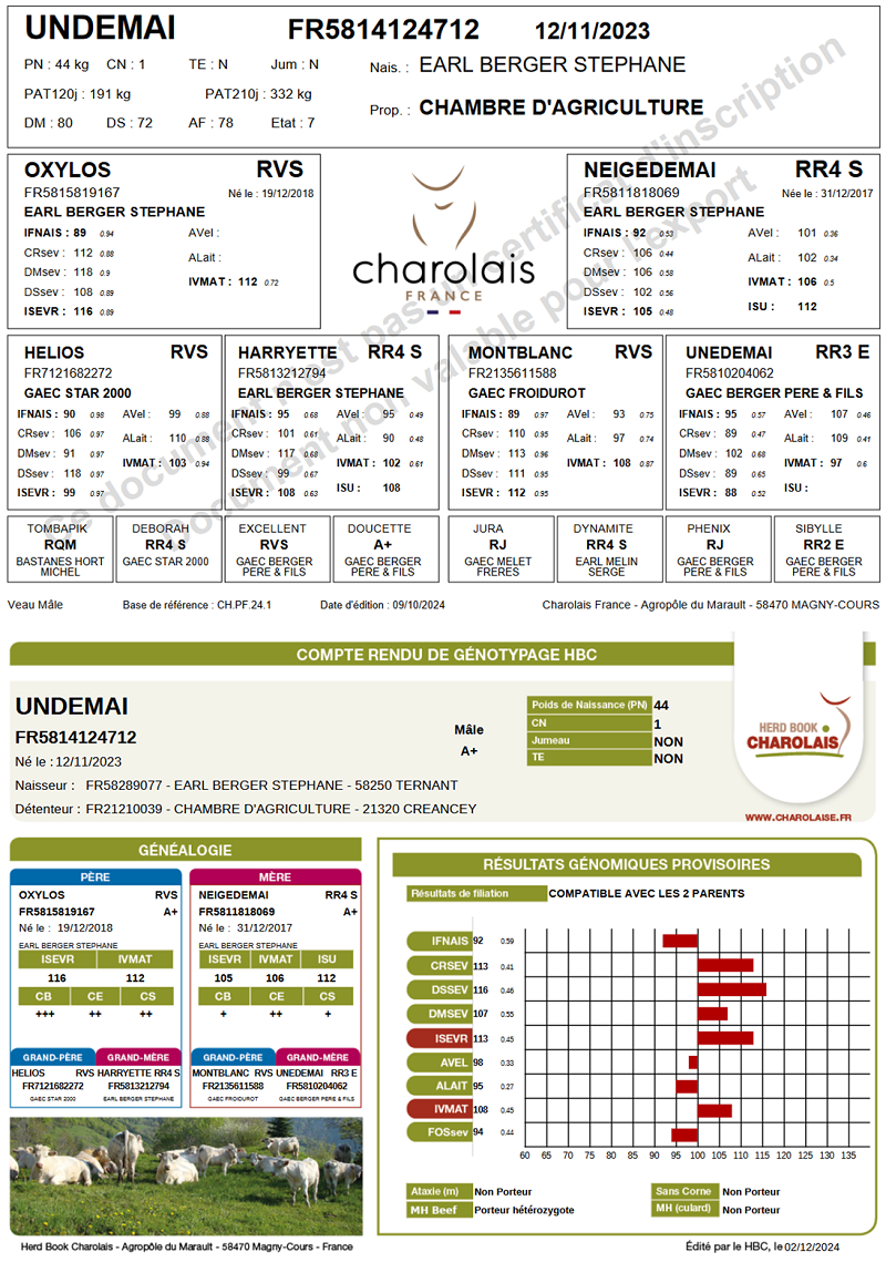 genealogie taureau charolais UNDEMAI