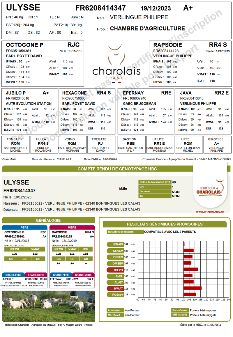 genealogie taureau charolais ULYSSE