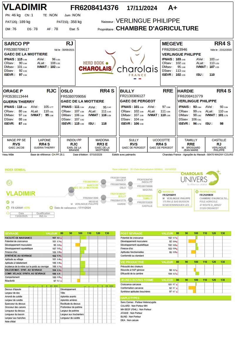 genealogie taureau charolais VLADIMIR