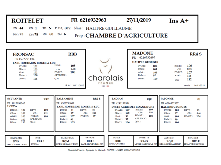 genealogie taureau charolais ROITELET