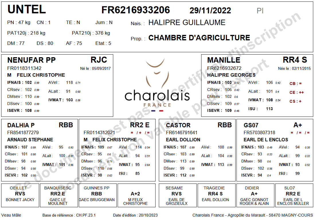 genealogie taureau charolais UNTEL P