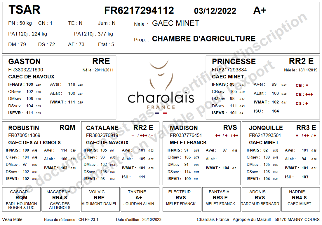 genealogie taureau charolais TSAR