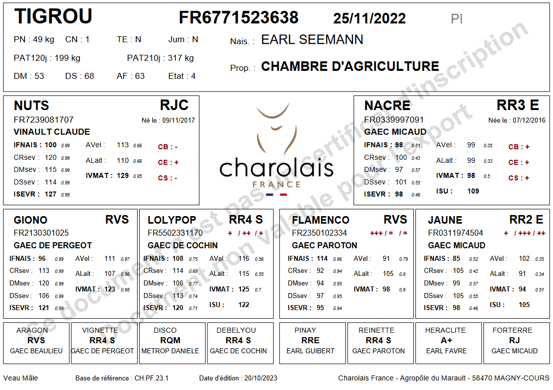 genealogie taureau charolais TIGROU
