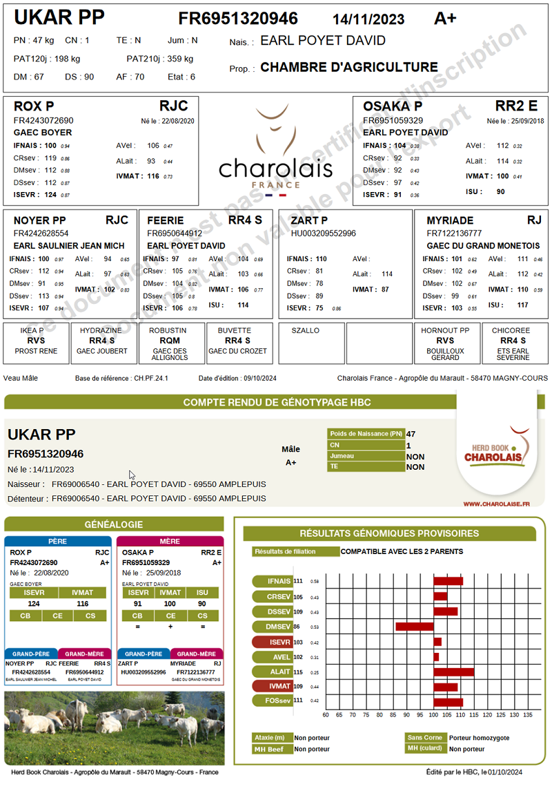 genealogie taureau charolais UKAR PP