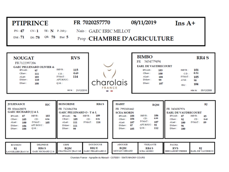 genealogie taureau charolais PTIPRINCE