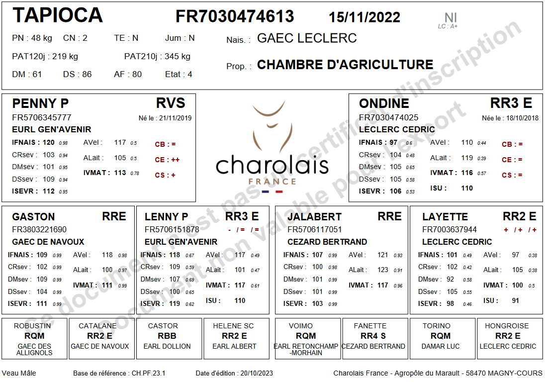 genealogie taureau charolais TAPIOCA