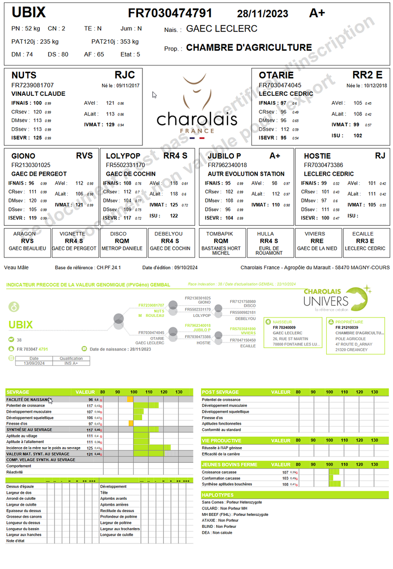 genealogie taureau charolais UBIX