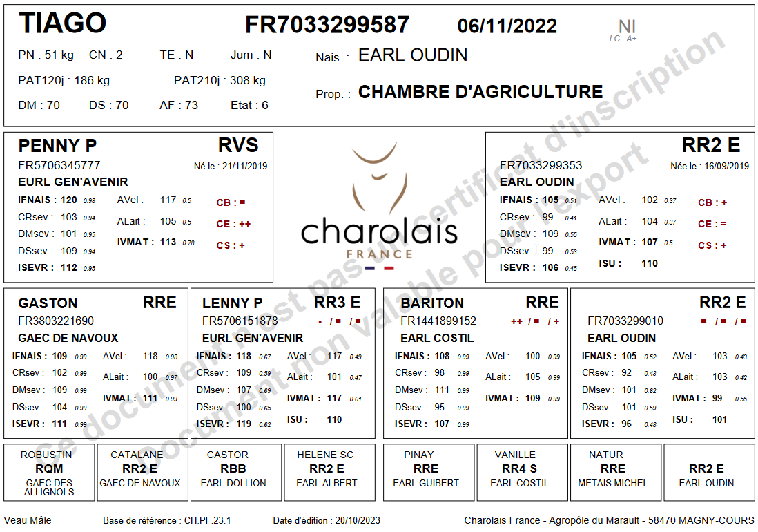 genealogie taureau charolais TIAGO P