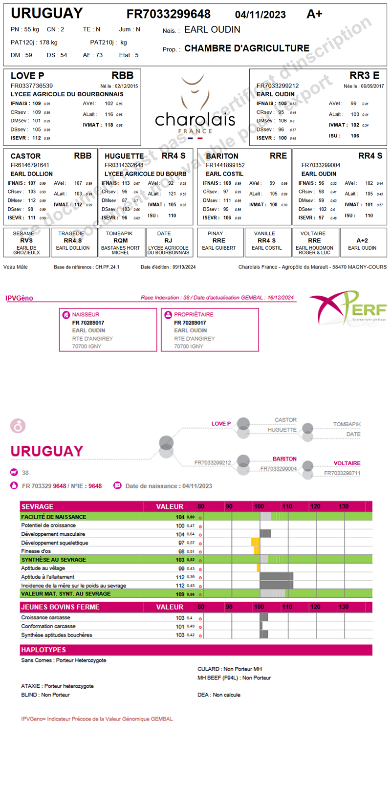 genealogie taureau charolais URUGUAY